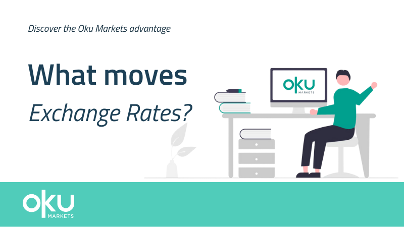 Thumbnail for: What Moves Exchange Rates?