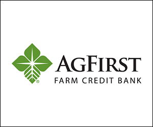 Agfirst Bank