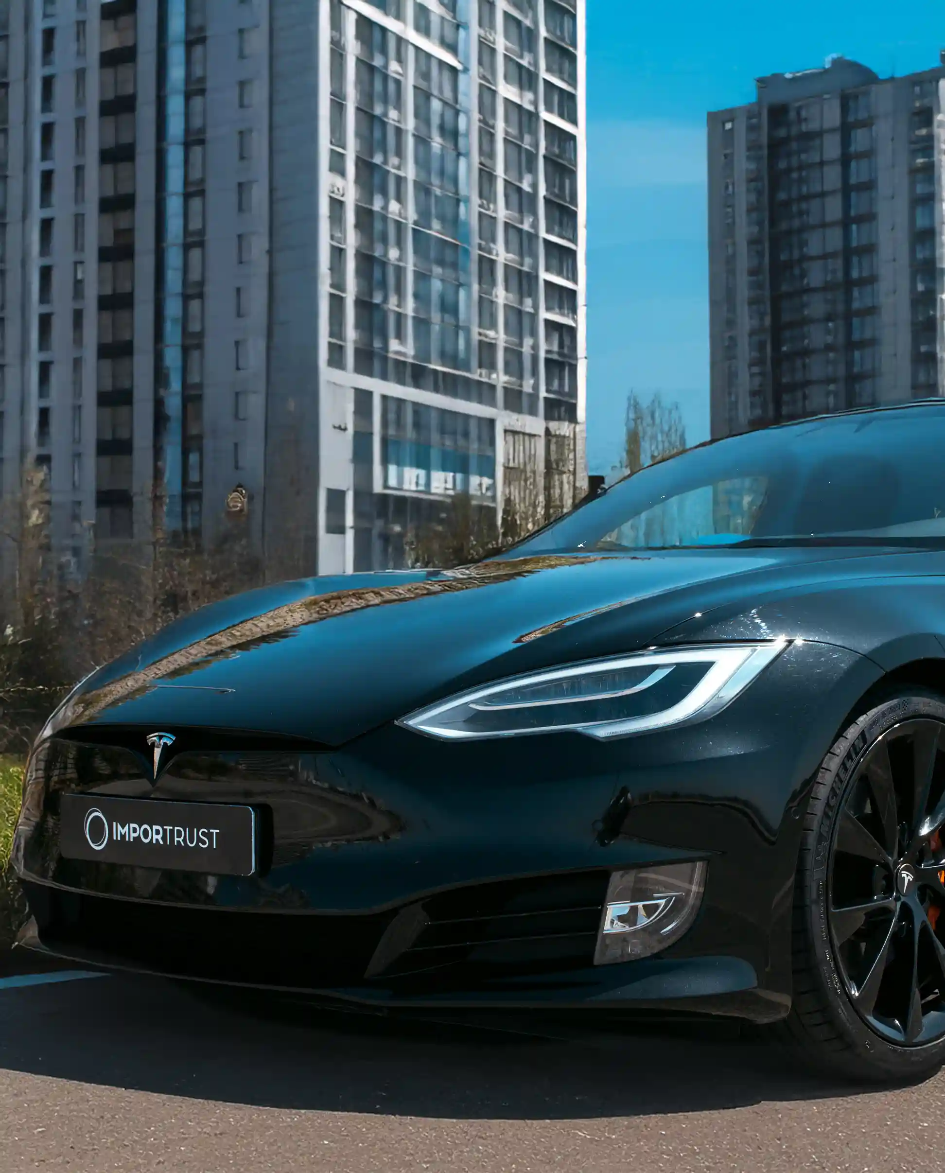 Foto de un coche Tesla Model S negro con matrícula de Importrust