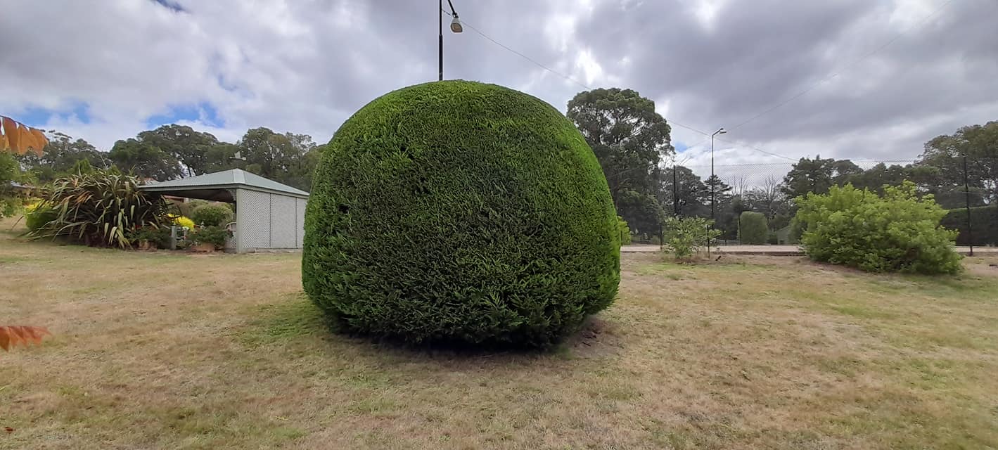 Round hedge