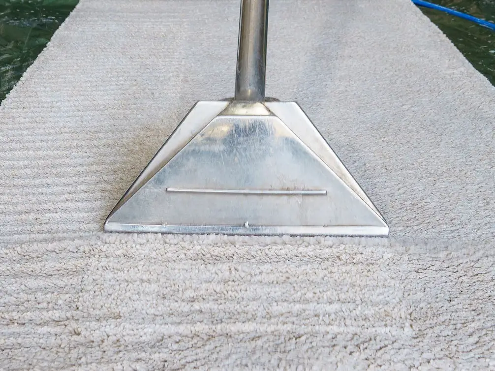 Carpet Cleaning