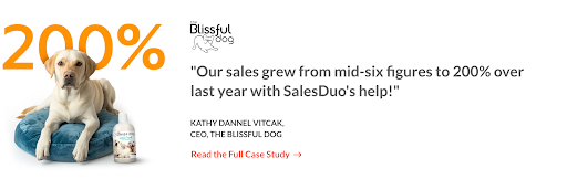 Screenshot of SalesDuo case study
