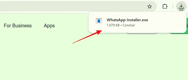Install WhatsApp app
