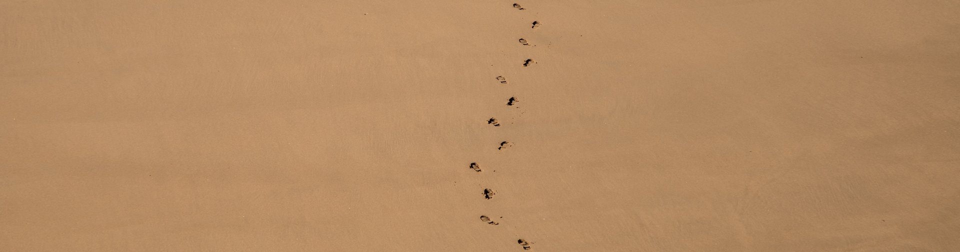 Banner for 'Your digital footprint' resource. Photo of footsteps in the sand.