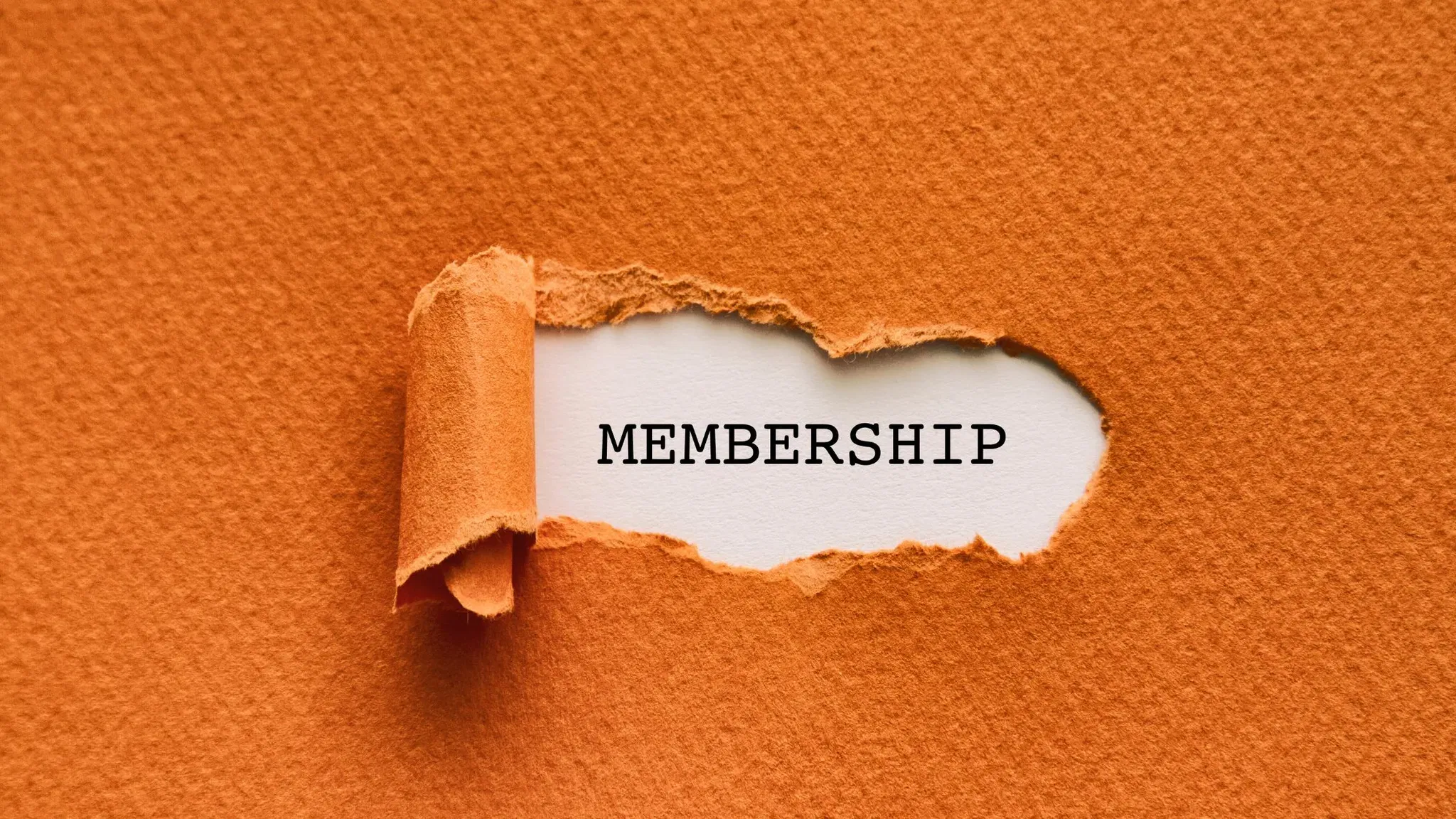 Thumbnail for: Membership Management Features in Gym Management Software: What You Need to Know