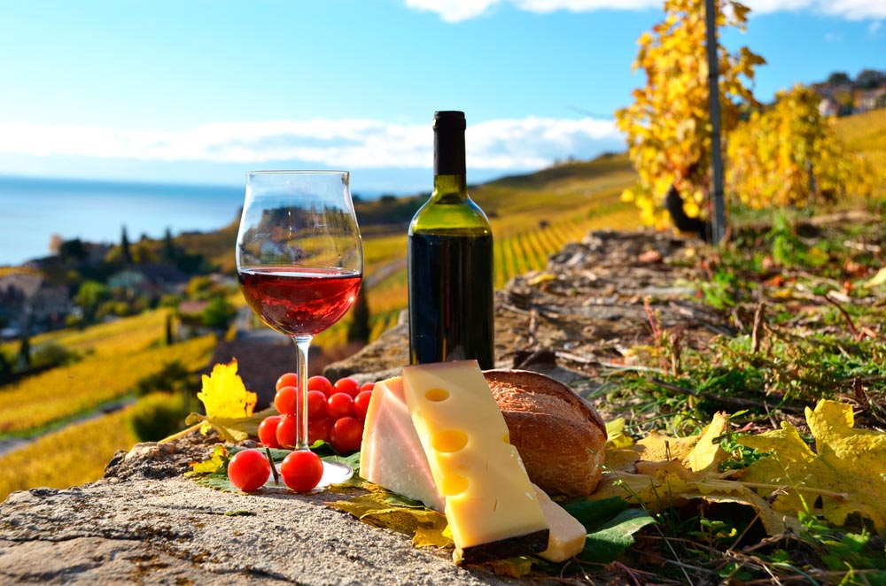 Tiempo de vendimia la hora de hacer vino