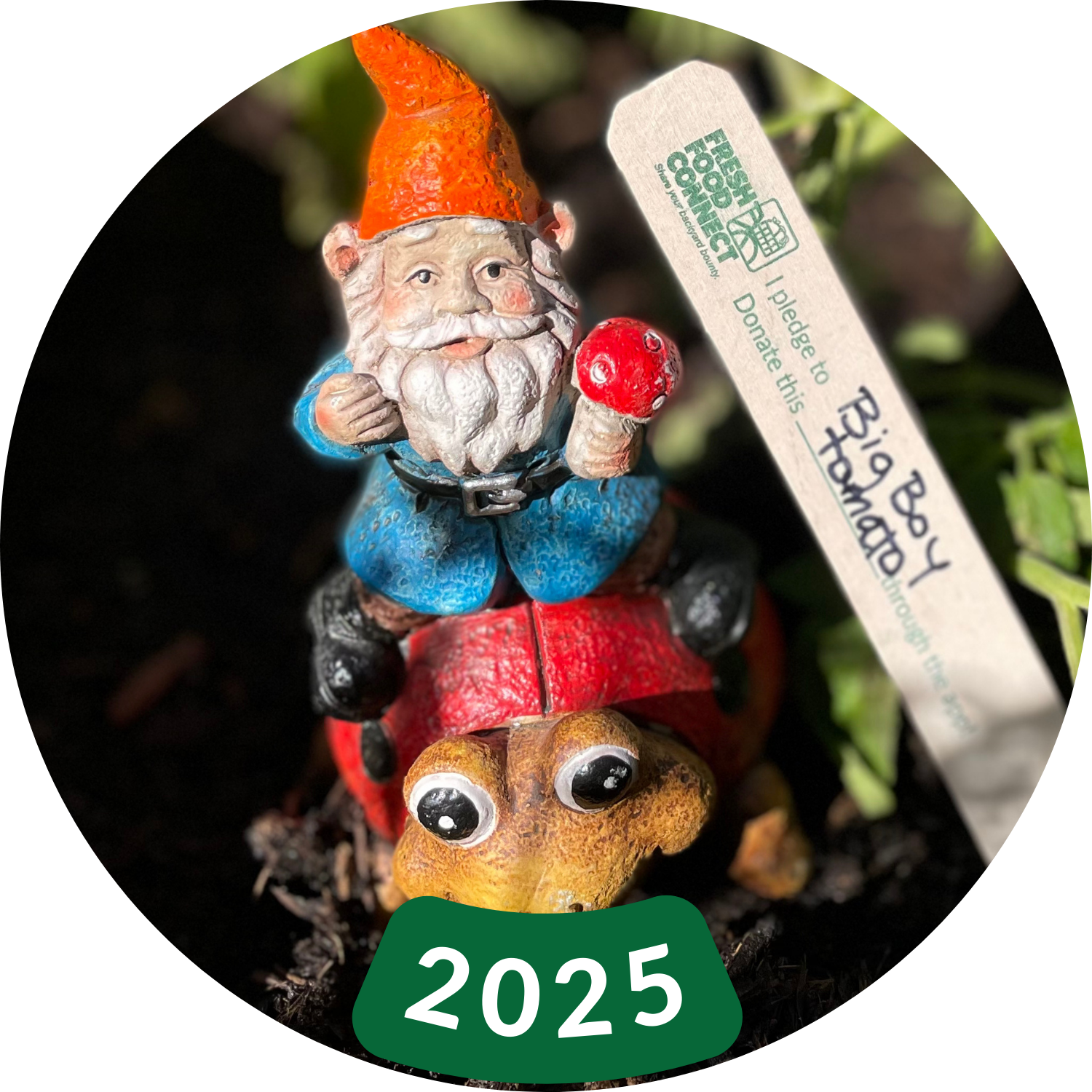 a photo of a garden gnome