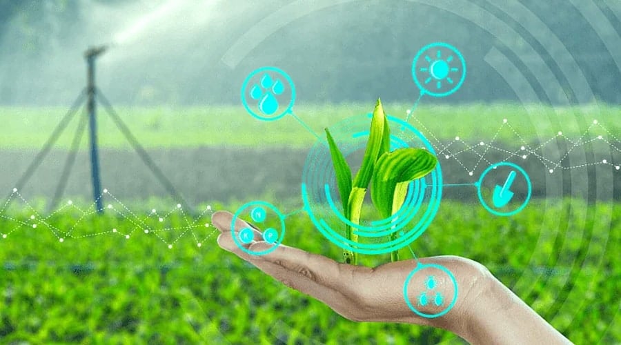 Agriculture
