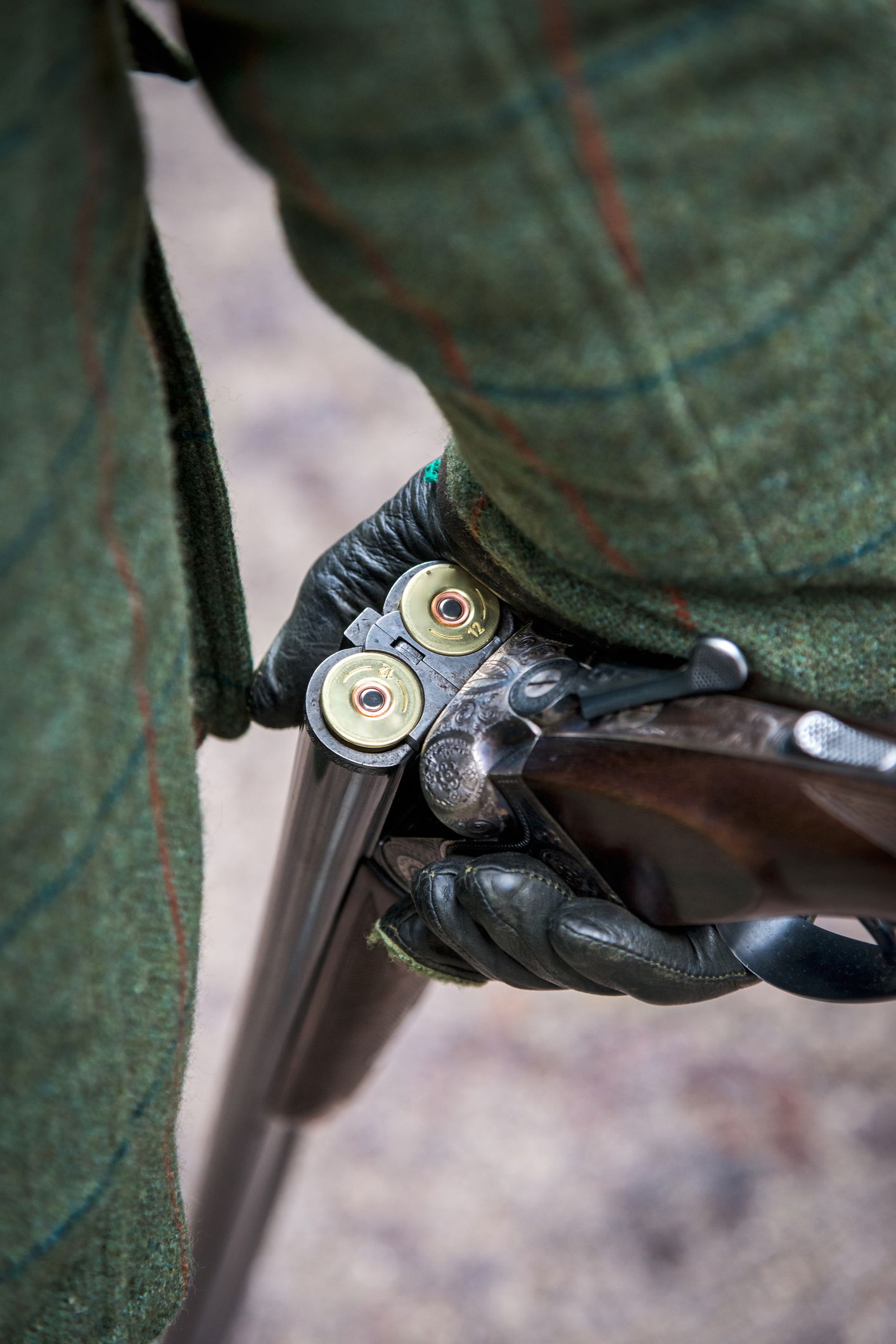 Field Sports