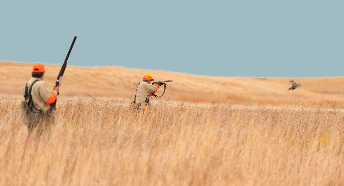 Experienced hunting guide leading a group on a wildlife expedition