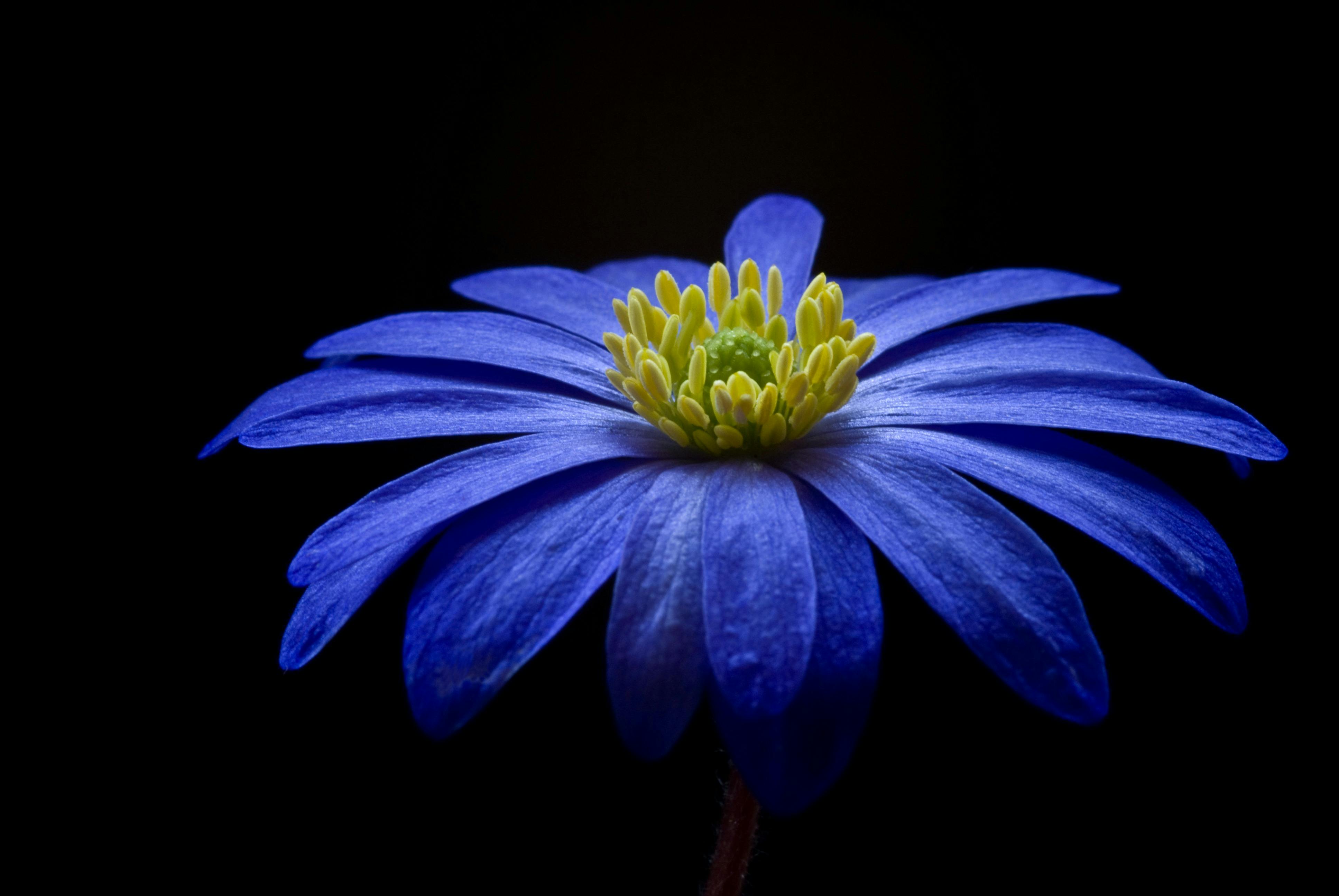 Mos design b6bnatayjgc unsplash (1)